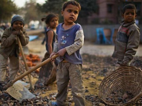 Alimlər Afrika torpaqlarını quraqlıqdan xilas etməyin yolunu tapıblar