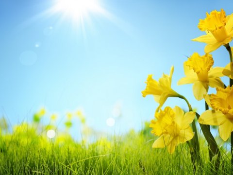 Faktiki hava açıqlanıb