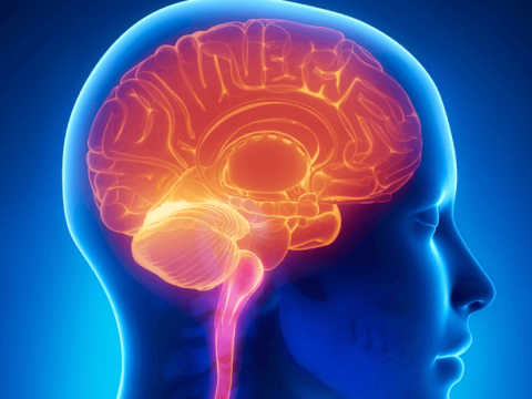 Bu gün&nbsp;Beynəlxalq Dağınıq Skleroz Günüdür