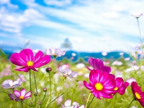 Bu gün hava necə olcaq?