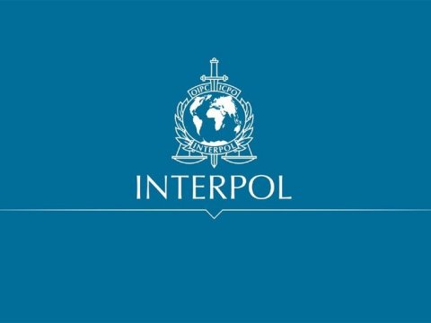 Uşaqların cinsi istismarı ilə bağlı 12 ölkədə 20 nəfər həbs edilib