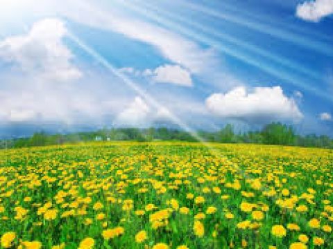 Sabah Azərbaycanda 33 dərəcə isti olacaq