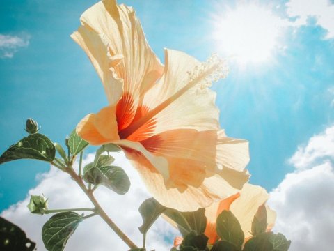 Bayram gününün havası açıqlanıb