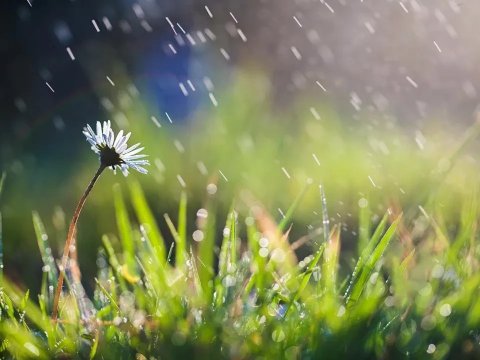 Bu gün hava necə olacaq?