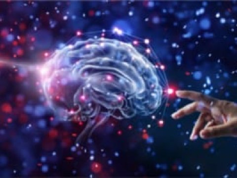 Beynimiz bizi aldadır: Bənövşəyi rəng mövcud deyil