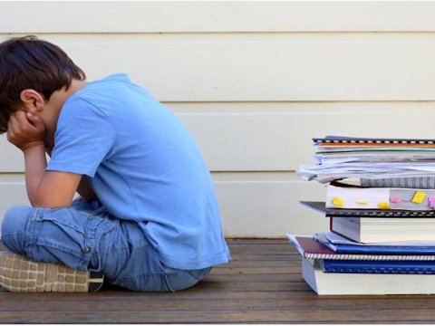 Bu məktəblər gələcəyin təhsilsiz gənclərini yetişdirir...