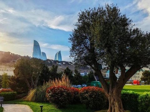 Bu gün hava necə olacaq?