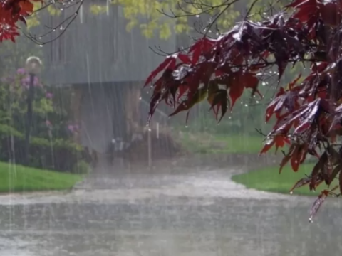 Leysan yağacaq, dolu düşəcək - PROQNOZ