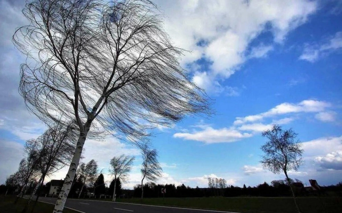 Faktiki hava açıqlanıb