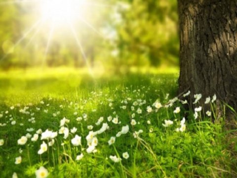 Bu günün hava proqnozu