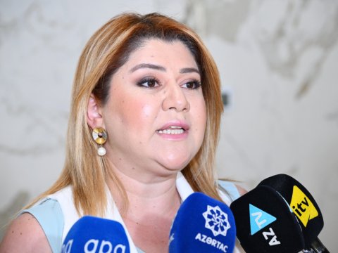 Xaricdə təhsillə bağlı müraciətlərdə ilk beş ölkə açıqlanıb