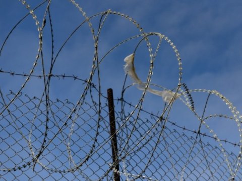 Cəzaçəkmə müəssisələrində yeni peşə təhsili müəssisələri tikiləcək