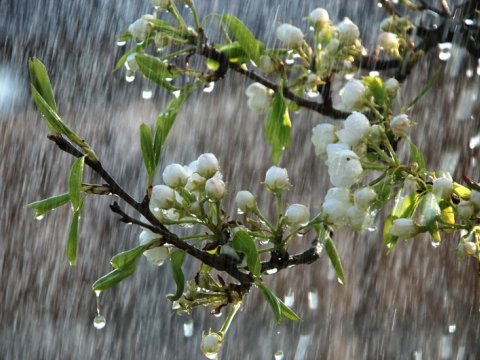 Yağıntılı və küləkli hava müşahidə olunur - FAKTİKİ HAVA