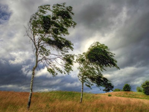 Qeyri-sabit hava iyulun 7-dək davam edəcək - FAKTİKİ HAVA
