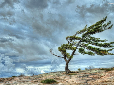Qeyri-sabit hava şəraiti iyulun 7-si səhərədək davam edəcək