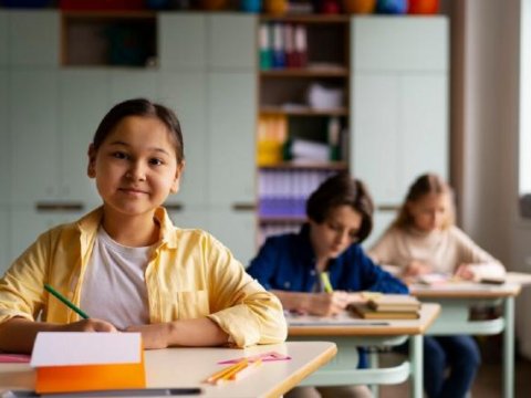 Almaniya naziri: Siniflərdə miqrant faizi məhdudlaşdırılsın