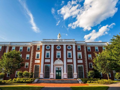 Harvard Universitetində xarici tələbə vizalarına dair araşdırma başladı