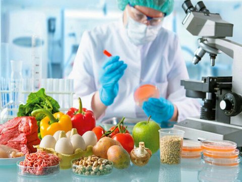 Tibb, təhsil və sosial müəssisələrdə qida normaları müəyyənləşəcək