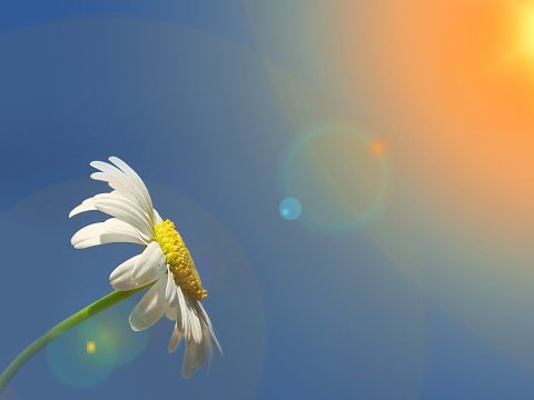 Bu gün hava necə olacaq?