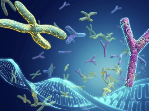 Yaponiyada Daun sindromunun qarşısını almaq üsulları öyrənilir