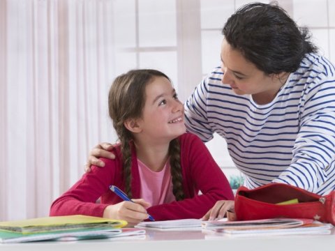 Hollandiyada ev tapşırığı minimuma endirilib - bu yanaşma effektivdirmi?