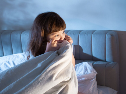 Yuxu rejimi təhsildə uğuru necə müəyyən edir? - Müqayisəli beynəlxalq təhlil