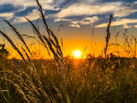 Bu gün hava necə olacaq? - PROQNOZ