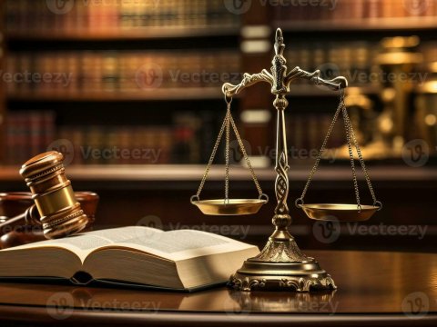 "Hüquq sahəsi əmək bazarında doymuşluq mərhələsinə çatıb"