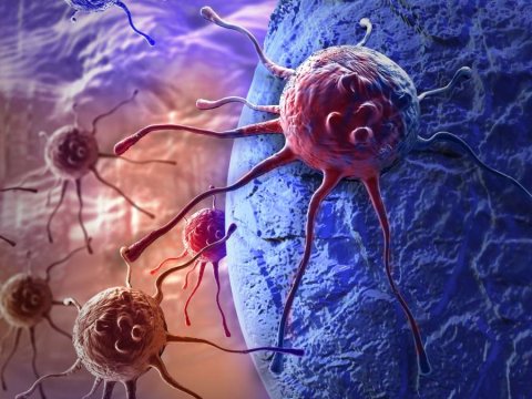 Qrip virusları xərçəngə səbəb ola bilər - Alimlərdən açıqlama