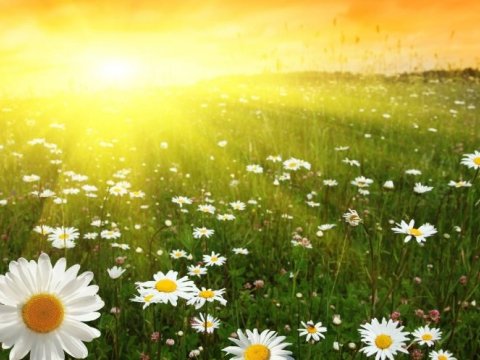 Bu gün hava necə olacaq? - PROQNOZ