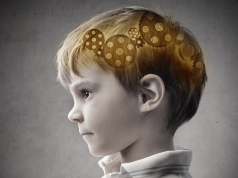 İnsan 7-də nədirsə 70-də də odur - PSİXOLOQ