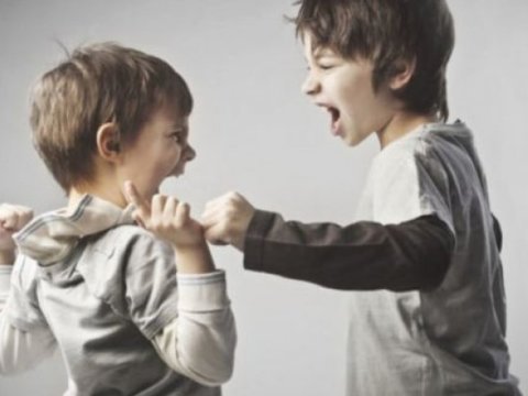 Uşaqlarda aqressiyanın artmasında qidalanmanın ROLU