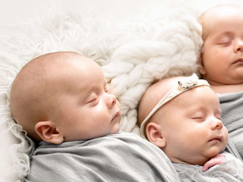 Altı ayda 63 üçəm doğulub