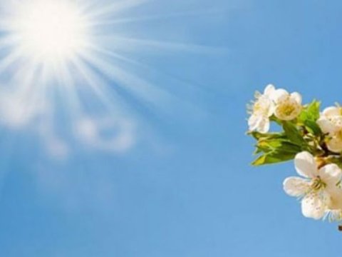 Bu günü hava proqnozu