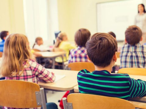 Fransada riyaziyyatda gender fərqləri: Erkən təhsildə stereotiplərin rolu