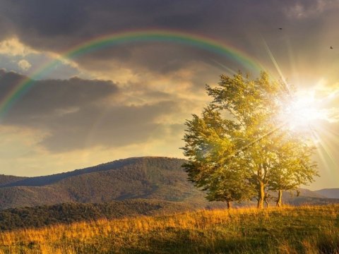 37 dərəcə isti...- GÜNÜN HAVASI