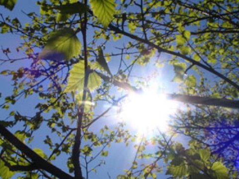 Bu gün hava necə olacaq? - PROQNOZ