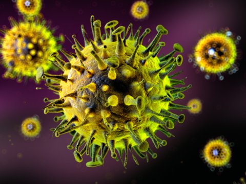 Çikunqunya virusu: Çində bir həftə ərzində 225 yoluxma