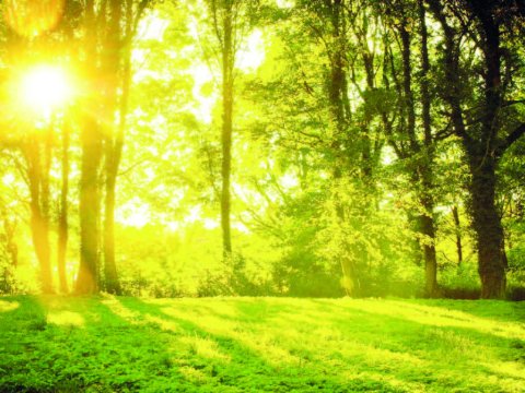 Sabah hava necə olacaq? - PROQNOZ