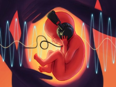 Uşaqlar ana bətnindən bizi eşidir? - ARAŞDIRMA