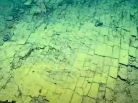 Sakit okeanda qəribə quruluş tapıldı