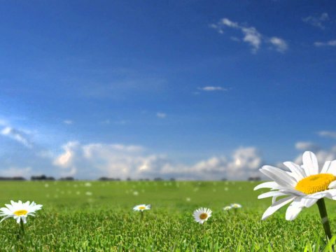 Bu günün hava proqnozu 