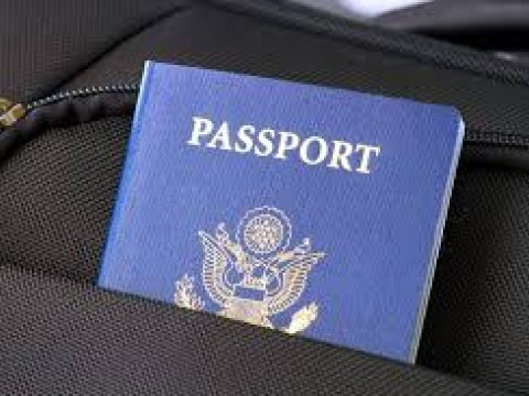 Tələbələr vətəndaşlıq üçün ən çox hansı ölkəyə üz tutur?