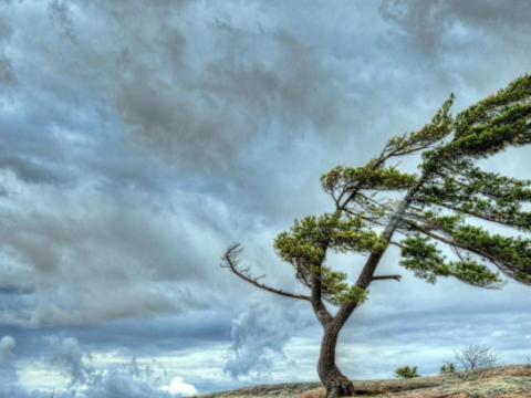 Bəzi yerlərdə külək əsir - FAKTİKİ HAVA