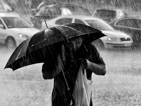 Rayonlara leysan yağır