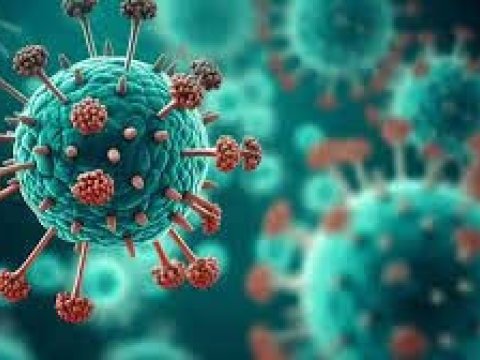 Alimlər yeni təhlükəli virus aşkarlayıblar