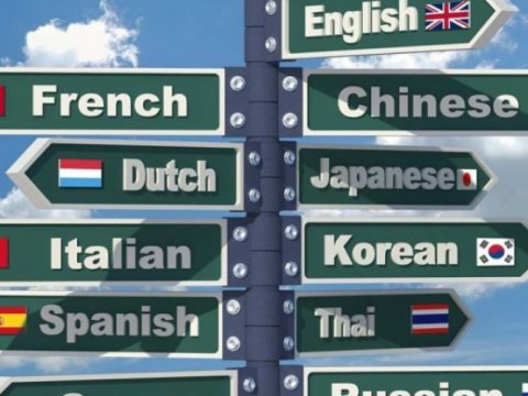 Dil öyrənməyə 11 il niyə yetmir? - “Məktəb yalnız imtahana hazırlayır”