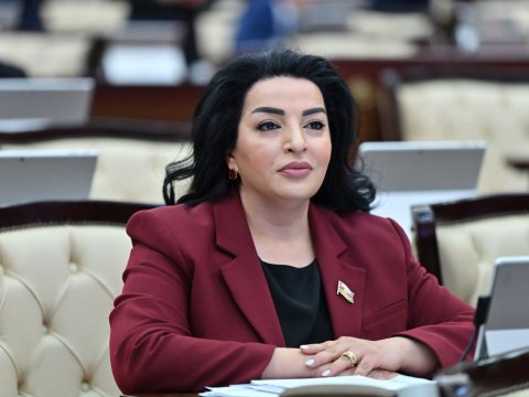 Deputat: Klassik ixtisaslar artıq tələbatı tam qarşılamır
