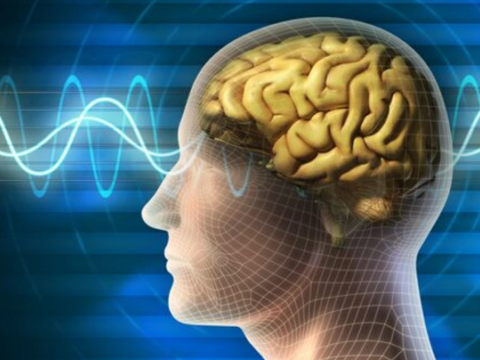 Pandemiya uşaqların sosial bacarıqlarını azaltdı - Alimlərdən ARAŞDIRMA