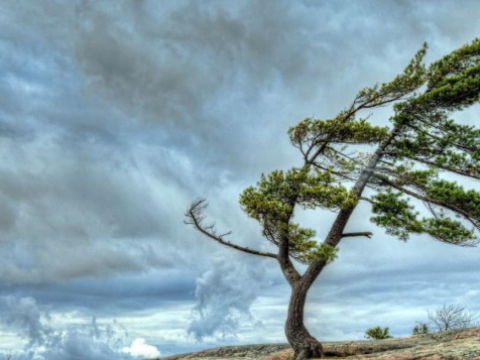 Sabahın hava proqnozu açıqlanıb